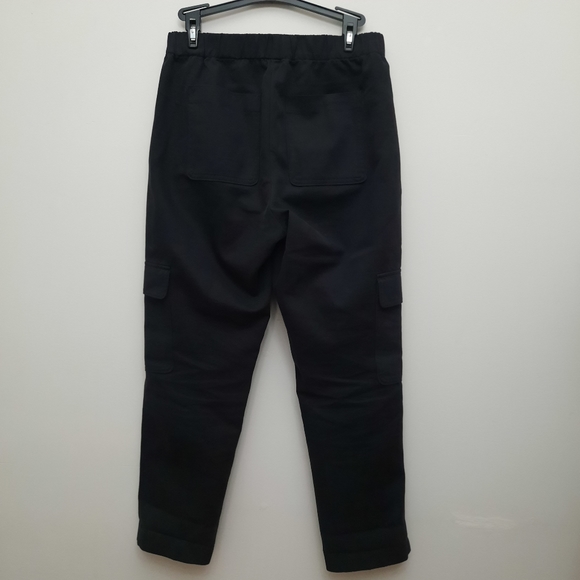 Aritzia Babaton Titan utility pants - Picture 7 of 14